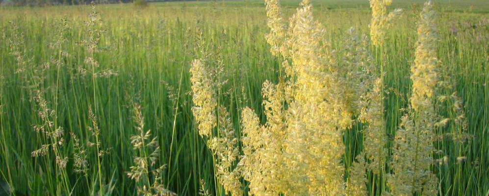 
            Фотография Омельково