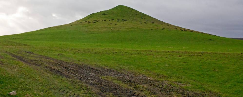 
            Фотография Муршем