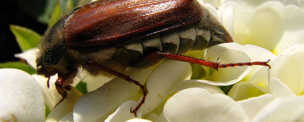 
            Фотография Тедингхаузена