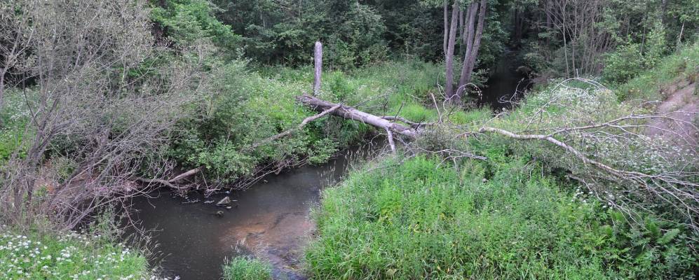 
            Фотография деревни Большевицы
