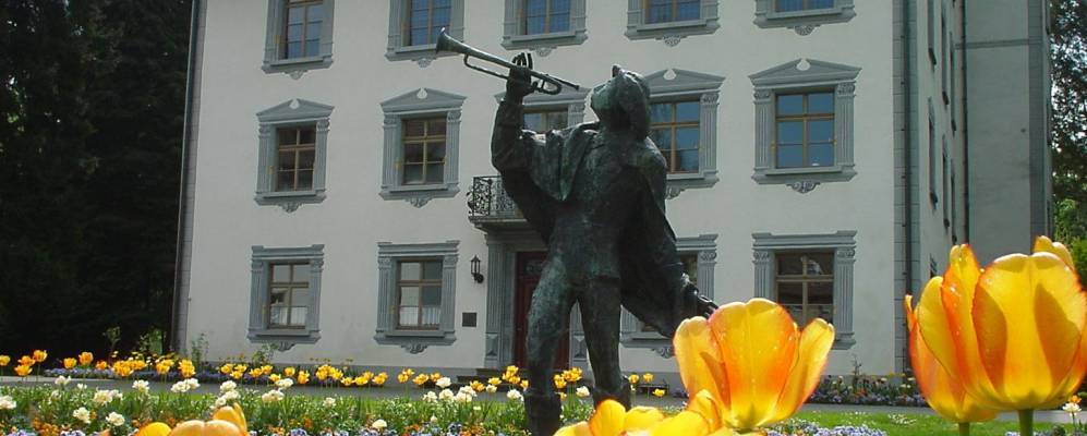 
            Фотография Бад Закингена