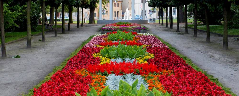 Фотография Бела под Бездезема