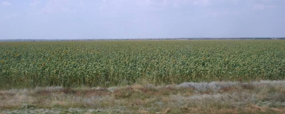 
            Фотография Панасовки