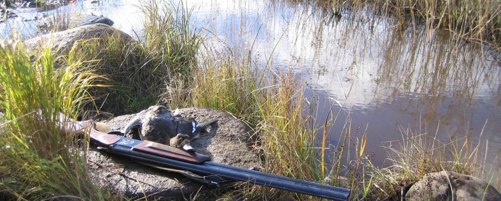 Фотография Ленинградской Слободы