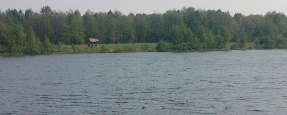 
            Фотография Трамца