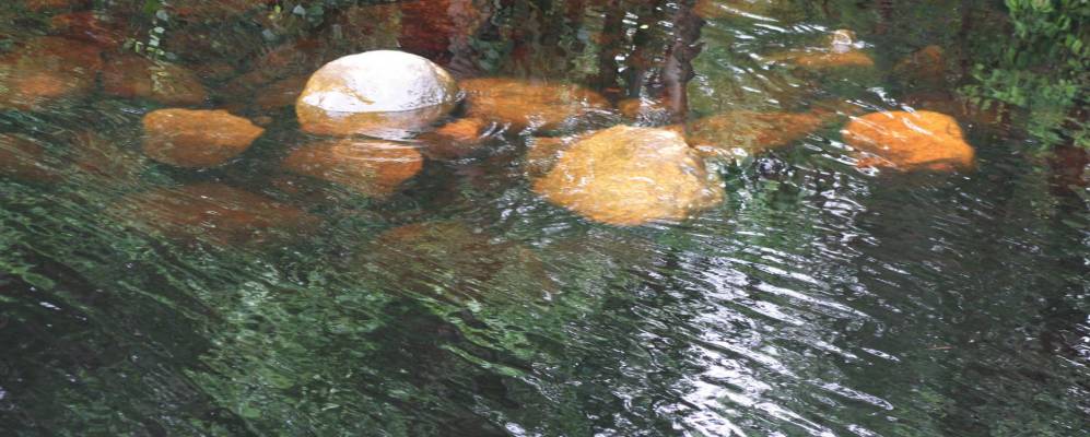 
            Фотография Утишево