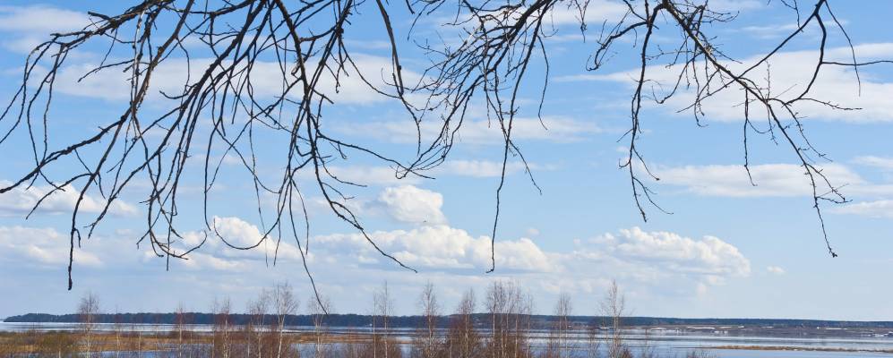 
            Фотография Борисоглебского