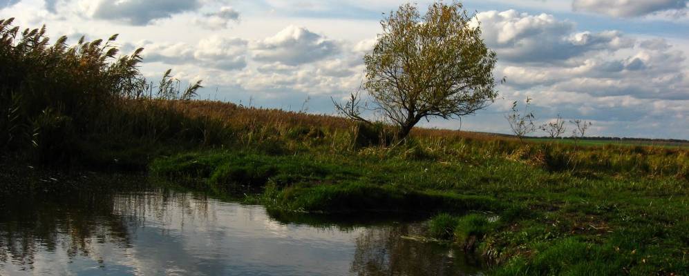 
            Фотография Песчаной