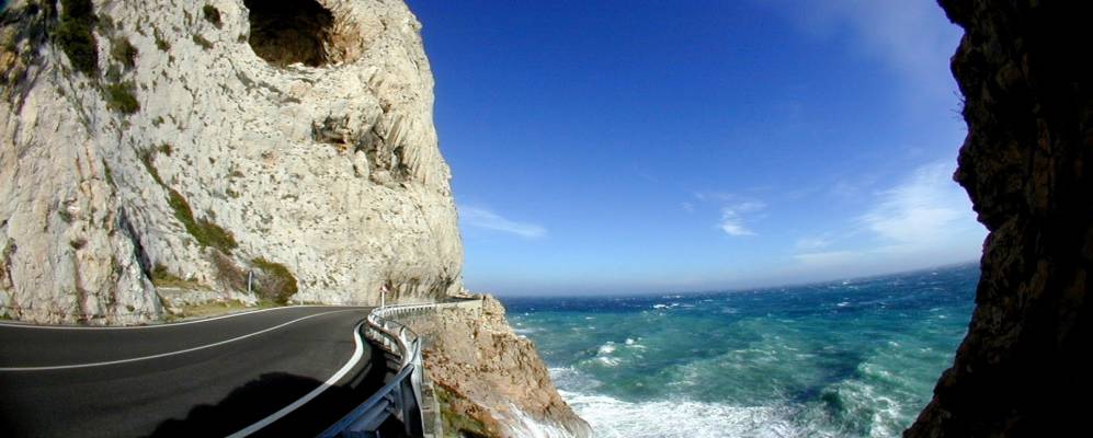 
            Фотография Ноли