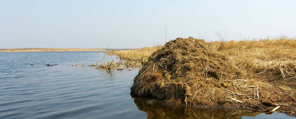 
            Фотография Духовского