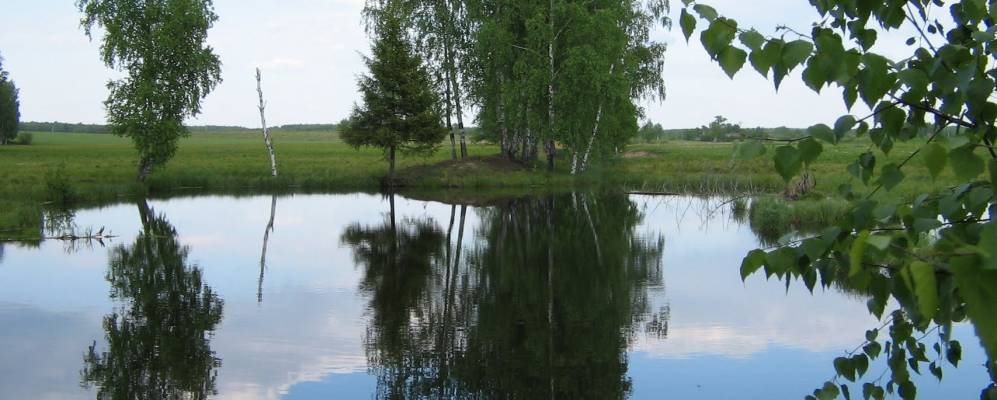 Фотография Поддубново