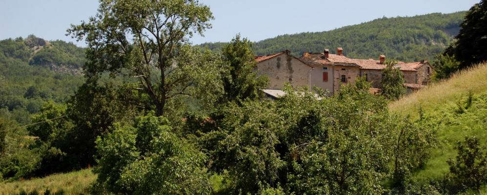 
            Фотография Морфассо