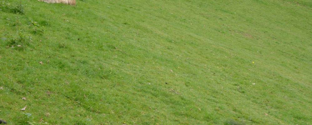 Фотография Бирьяту