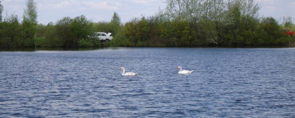 
            Фотография Ягодного