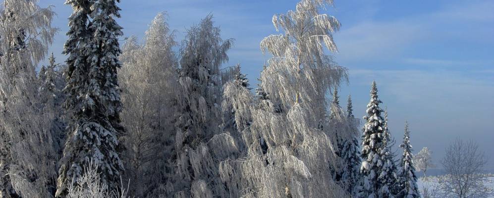 
            Фотография Затона