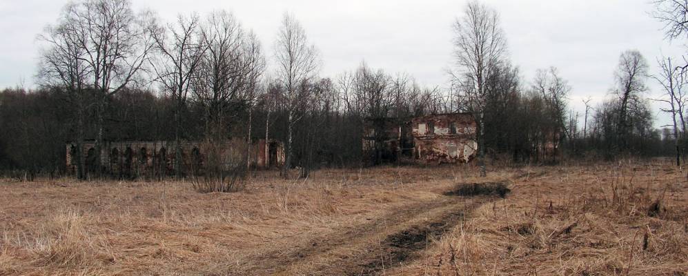 
            Фотография Дора