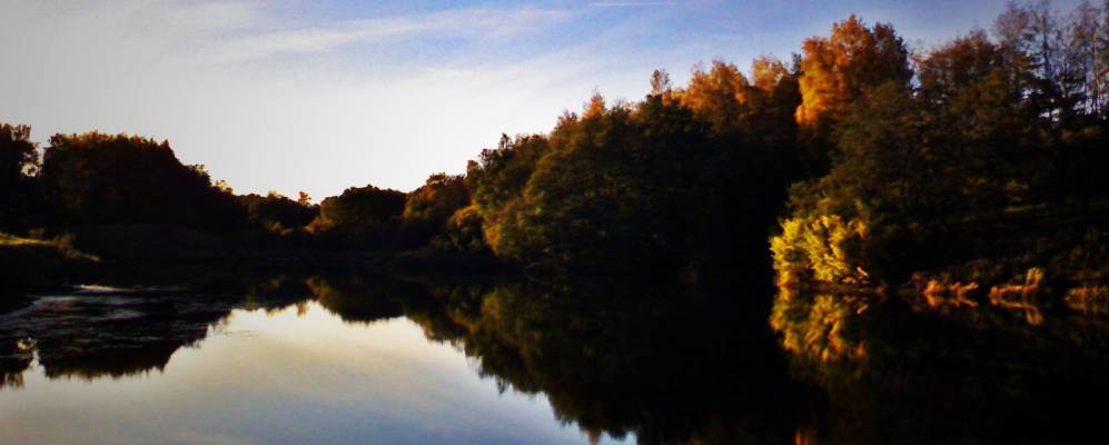 
            Фотография Вихровского