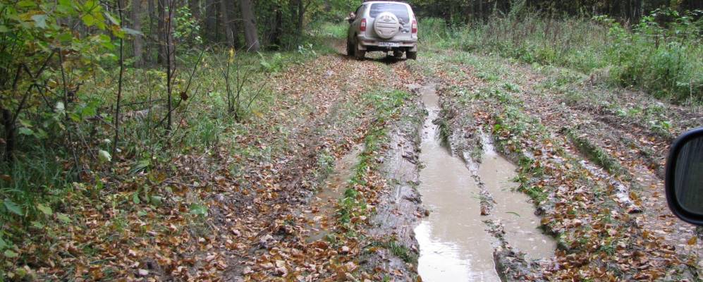 
            Фотография Полянского