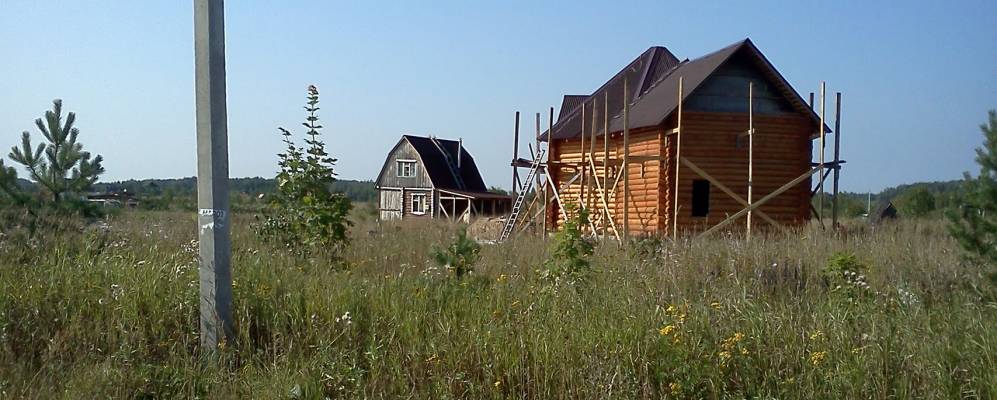 
            Фотография Рыжиково