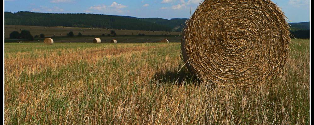 
            Фотография Петровицы