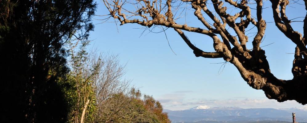 
            Фотография Ле-Канне-Де-Мор