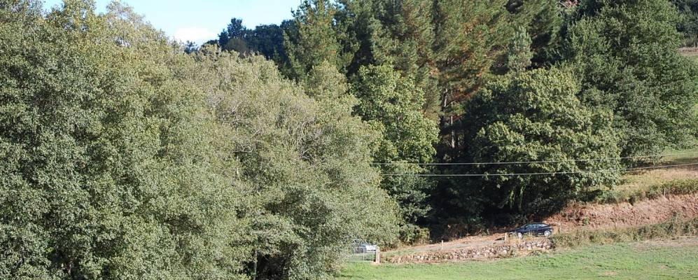 
            Фотография Сантисо