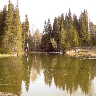 Большие Кизели