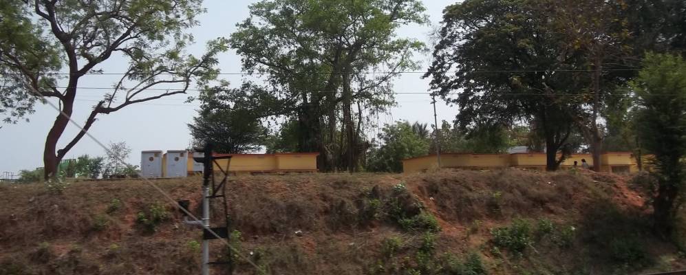 
            Фотография Чайпераполла