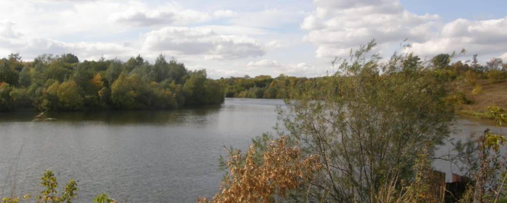 Фотография Красавки