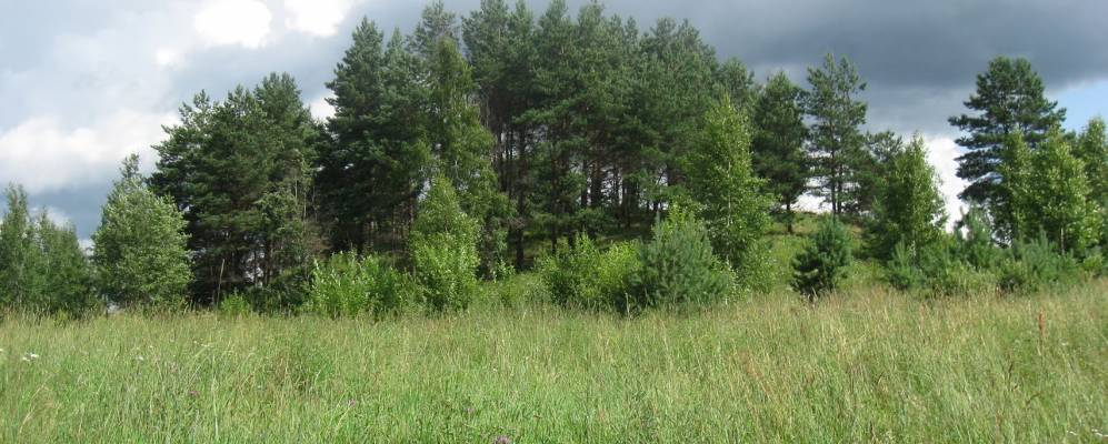 
            Фотография Ратово