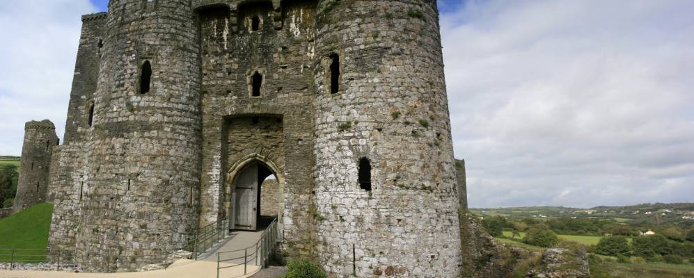 
            Фотография Кидуэлли