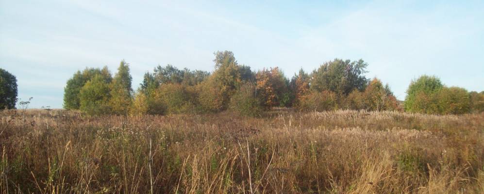 
            Фотография Игнатово