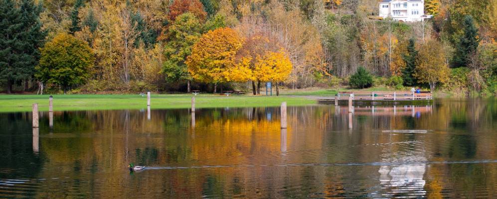 
            Фотография Salmon Creek