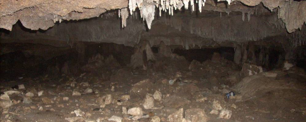 
            Фотография Серенады