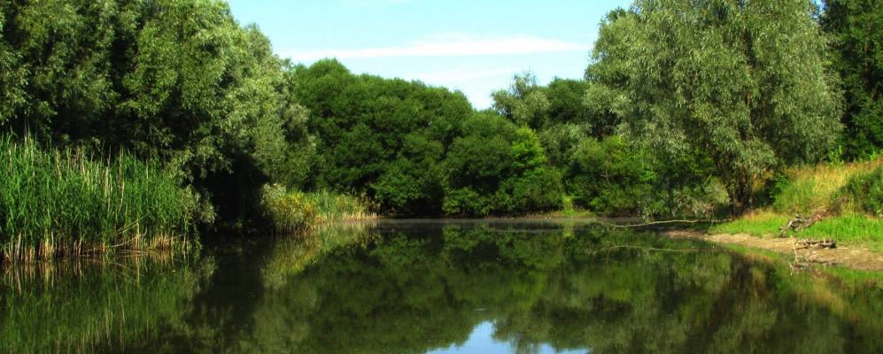 
            Фотография Максимовки