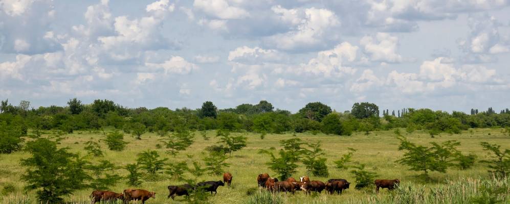 Фотография Бондаренко