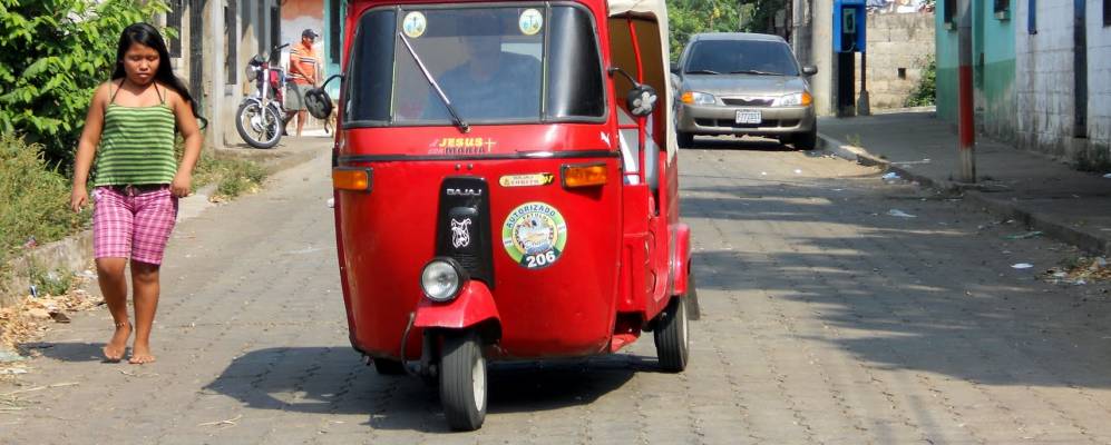 
            Фотография Патулуль