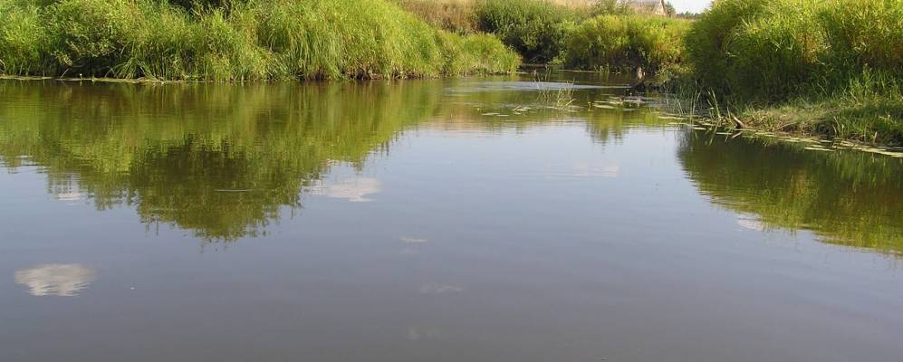 
            Фотография Котово