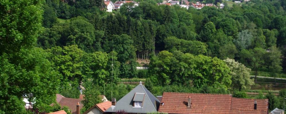 
            Фотография Сенона