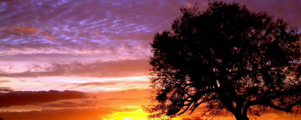 
            Фотография Потита