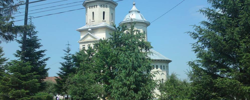 
            Фотография Думбрава Рошие