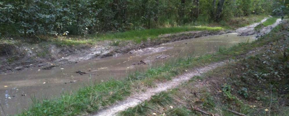 
            Фотография Мшено