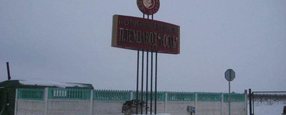 Фотография деревни Даниловцы