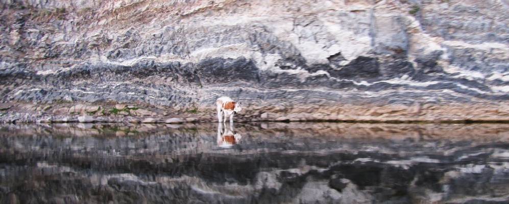 
            Фотография Новомунасипово