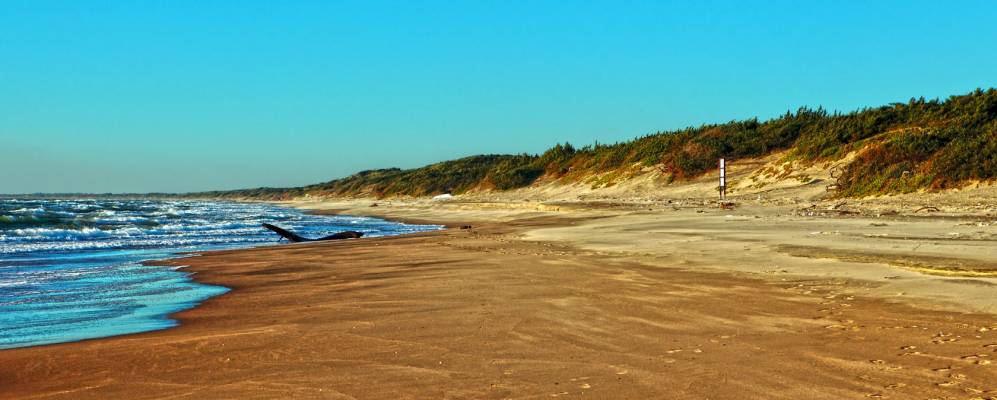 
            Фотография Сабаудии
