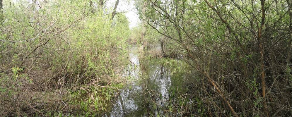 Фотография Красного Городища