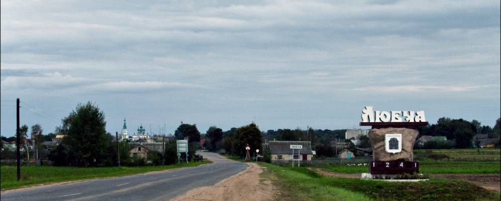 
            Фотография Голыни