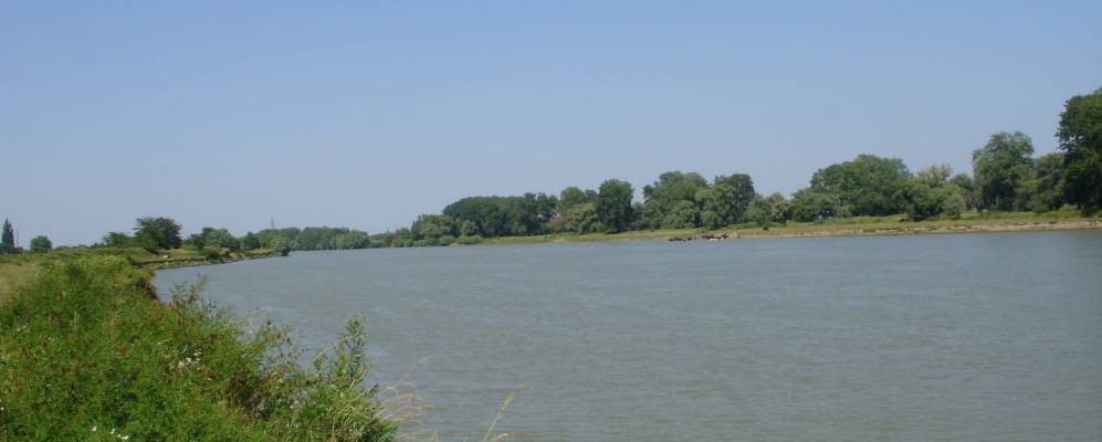 Фотография Колесникова