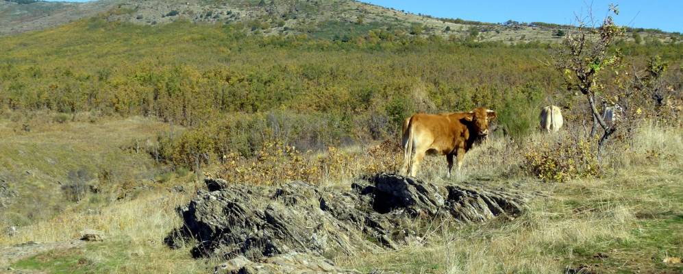 
            Фотография Монтехо-де-ла-Сьерра