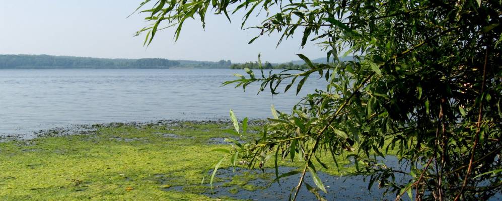 
            Фотография Прогресса